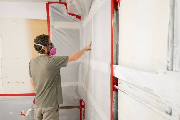Britt, IA Mold Removal Company