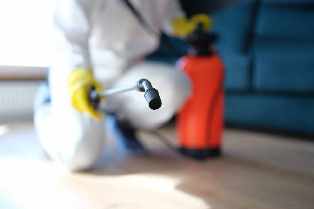 Best Mold Removal for HVAC Installations  in Britt, IA